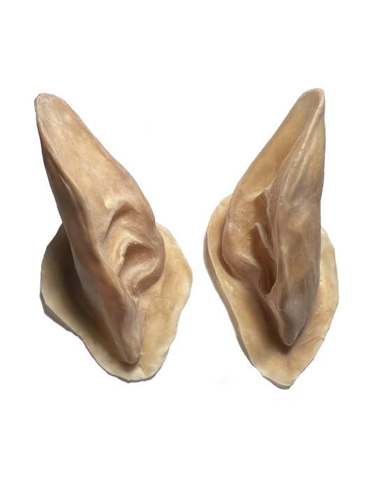 Latex Application Avatar ears, hand made in Barcelona by Leo Altamirano Studio.