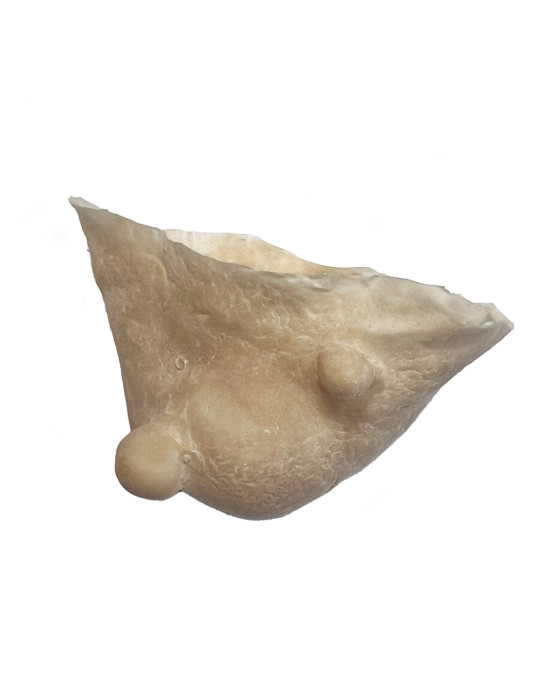 Latex Application Witch chin, hand made in Alemania for Senjo Color.
