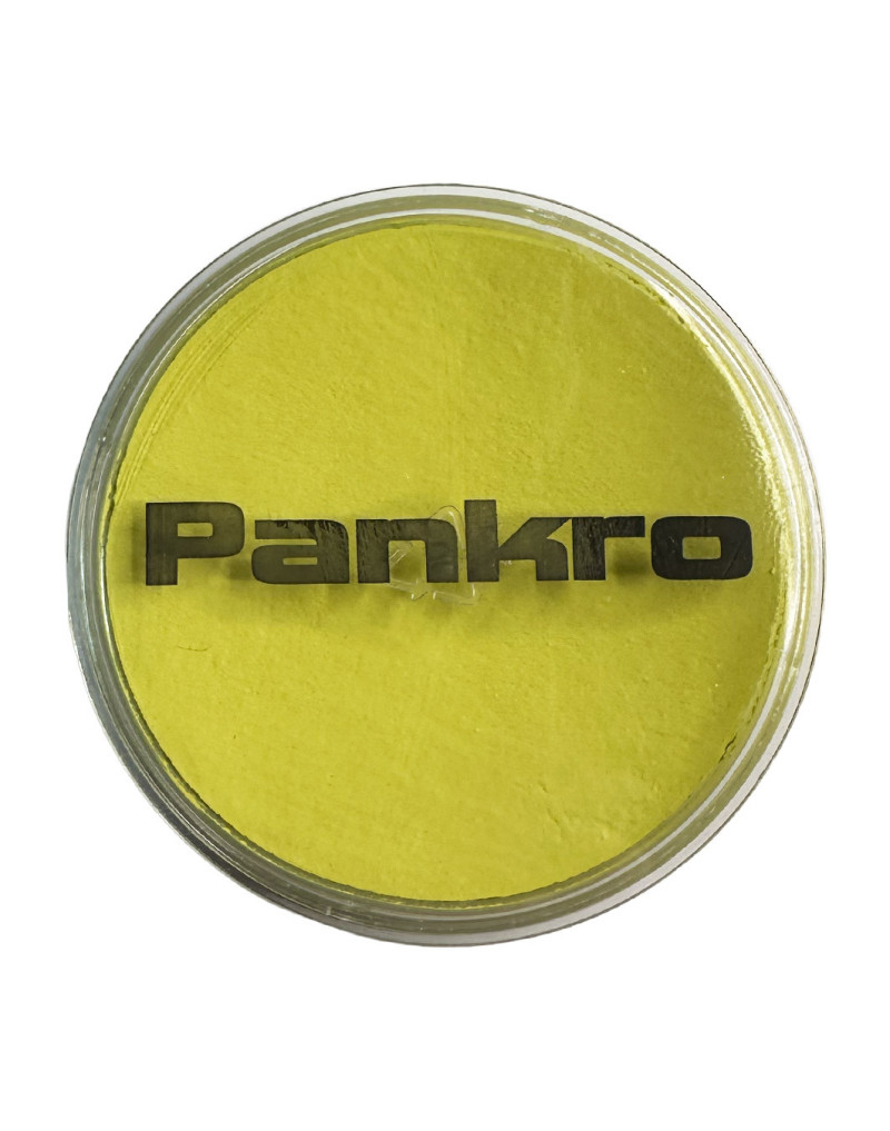 25ml. Aquapaint Pankro