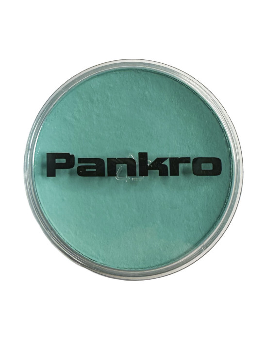25ml. Aquapaint Pankro